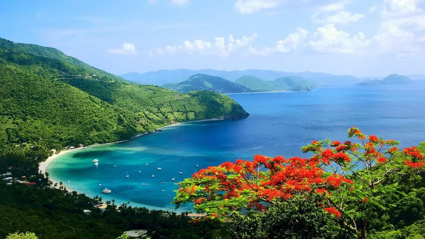 稳定性高性能
